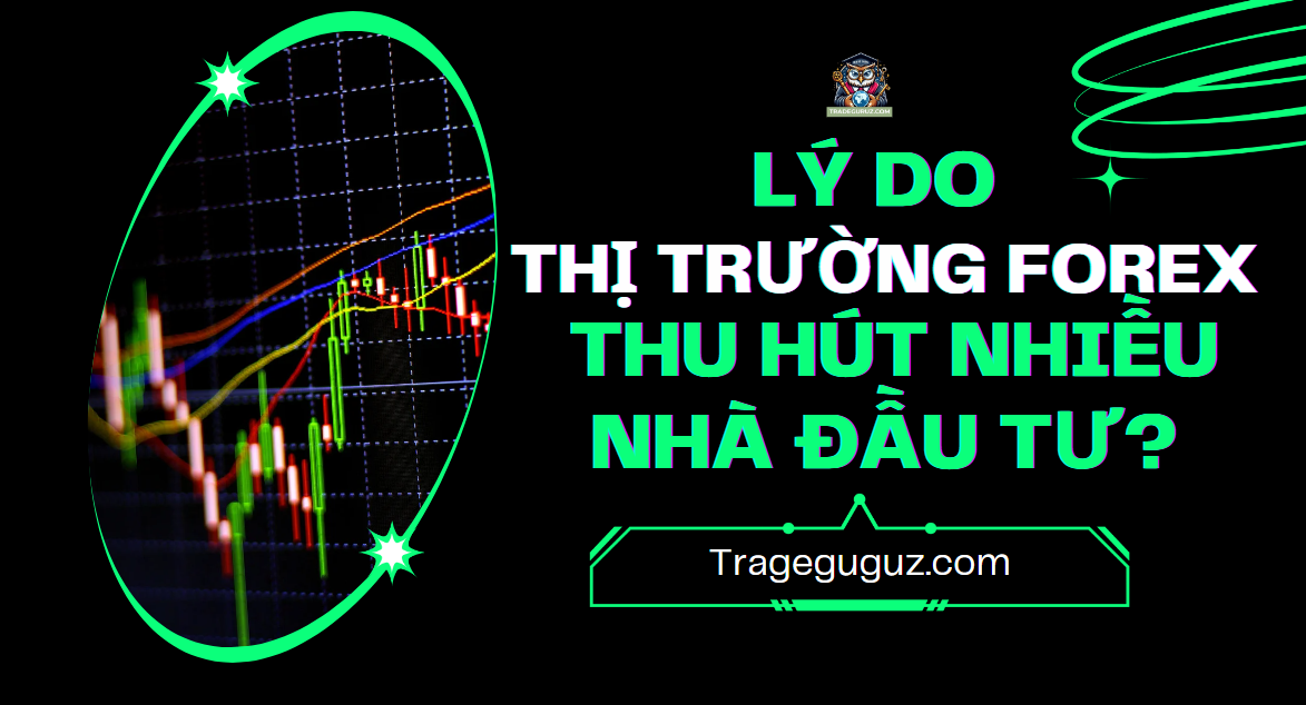 blog-image